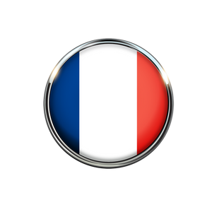 Französisch für Business & Tourismus 2: leicht Fortgeschritten